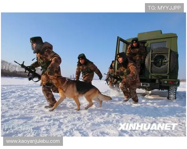 北京攀岩队防守表现分析与战术调整探讨